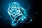 Tigru neon
