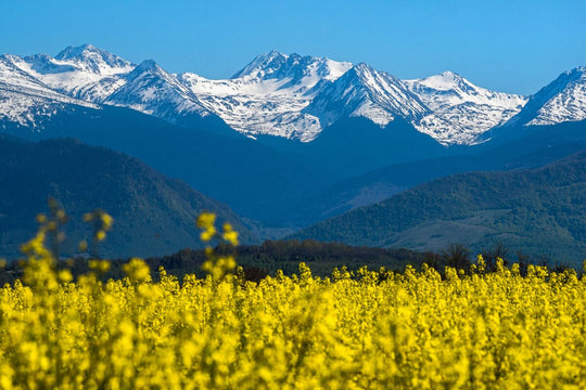 Primăvara