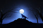Lup urland la luna
