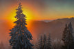 Apus de soare în Decembrie în Munții Ciucului