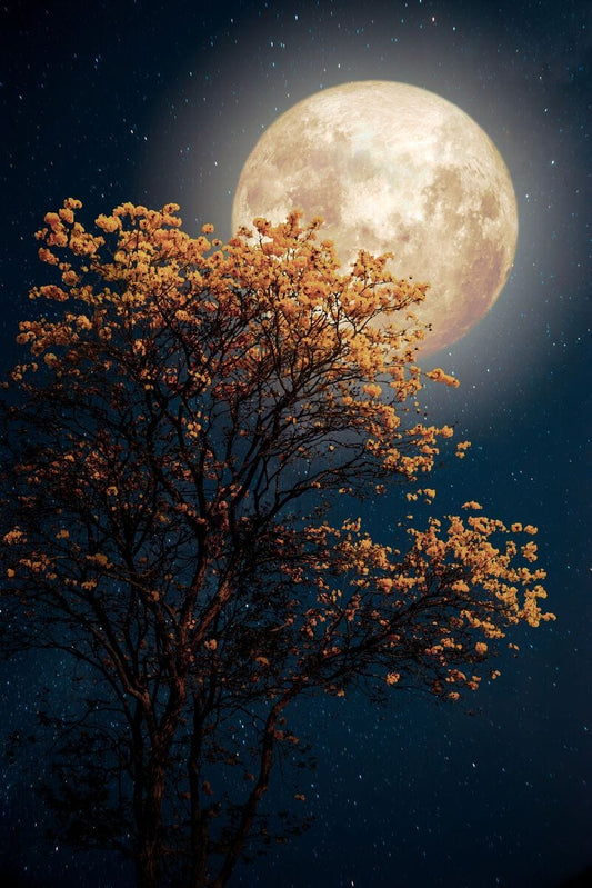 Tablou pe sticla in relief -  Luna printre crengi