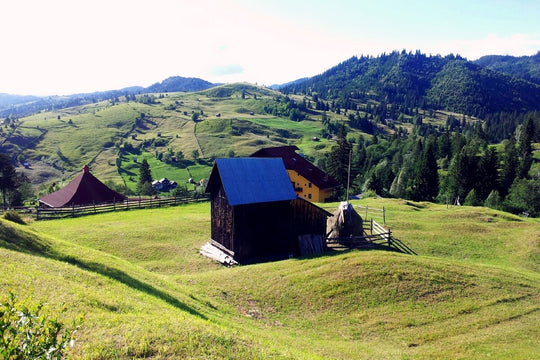 Undeva în Sadova, jud.Suceava