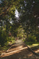 Daily walk
