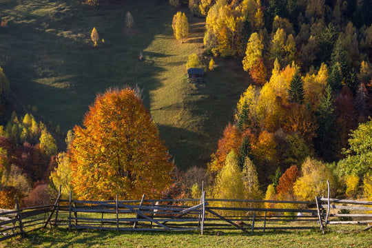 Dimineti colorate - Magura, Brasov