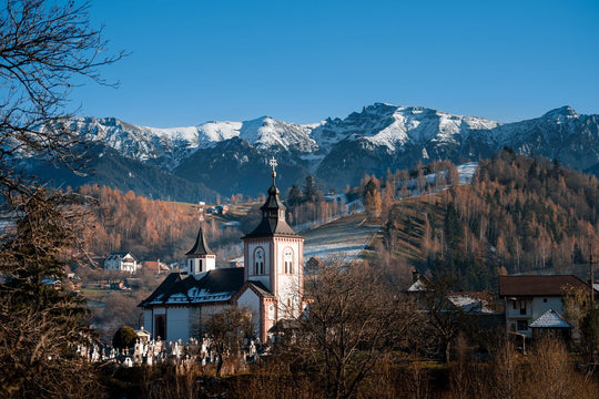  Moieciu, Brasov