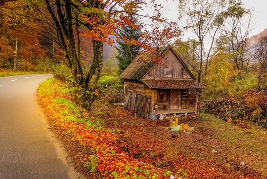 Valea Iadului-Bihor-Romania