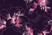 Floare Amaryllis abstracta 2