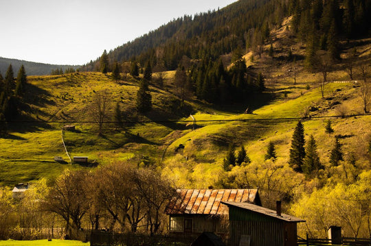  Bucovina de Poveste