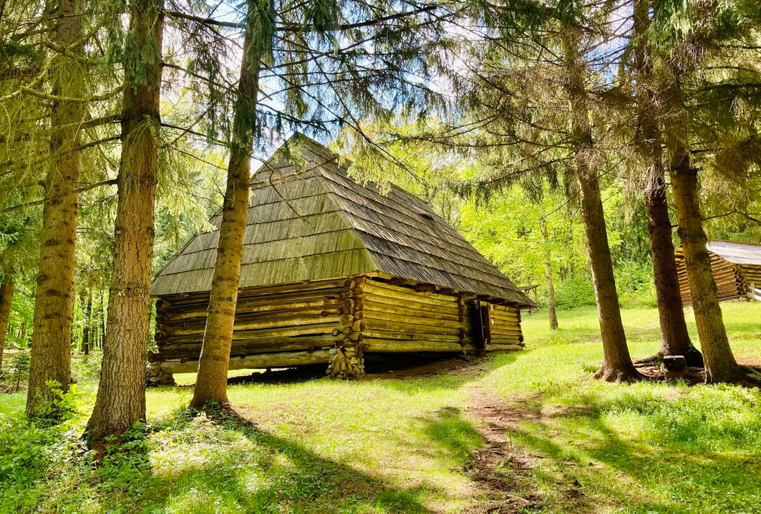  Muzeul Astra-Sibiu!❤️