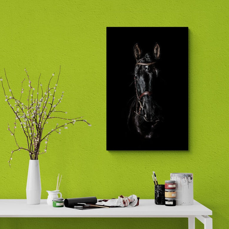 Tablou canvas - Black horse