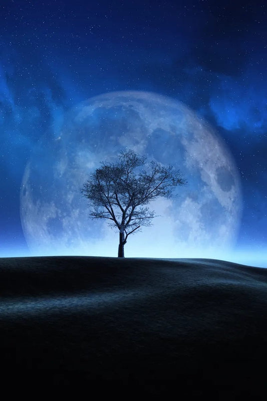 Tablou Canvas - Copacul la Luna Plina