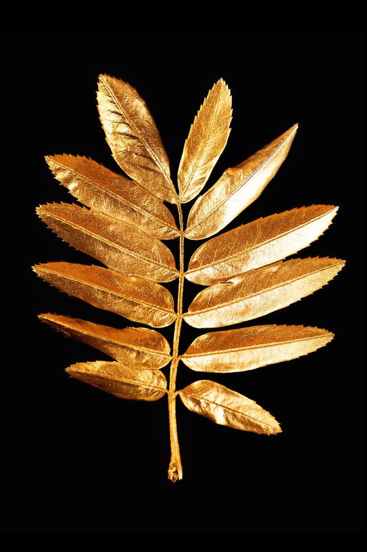 Tablou canvas - Gold leaf
