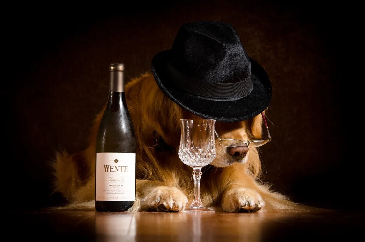 Tablou Canvas - Iubitorul de Vin