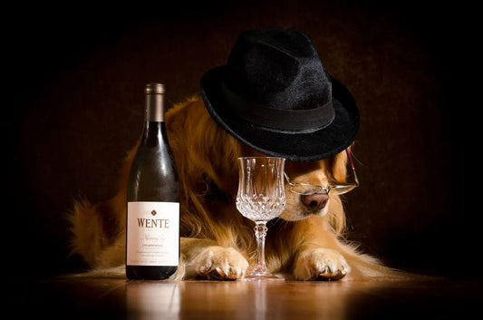 Tablou Canvas - Iubitorul de Vin