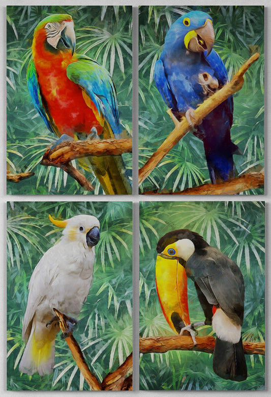  4 papagali