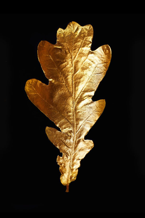 Tablou canvas - Leaf gold