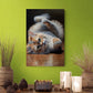 Tablou canvas - Playful kitty