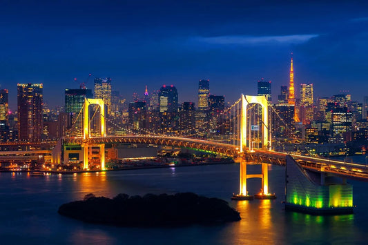Tablou Canvas - Podul din Tokyo