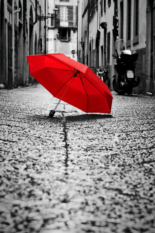 Tablou canvas - Red umbrella