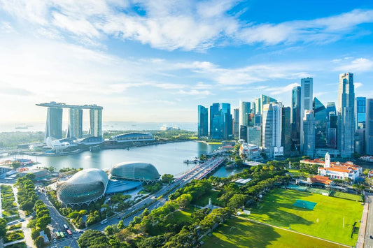 Tablou Canvas - Peisaj Urban Singapore