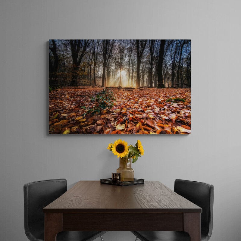Tablou canvas - Soarele intre copaci