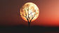 Tablou Canvas - Sub clar de luna 1