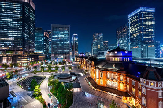 Tablou Canvas - Viziune Tokyo