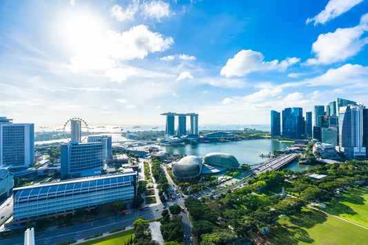 Tablou Canvas - Vedere Aeriana Singapore