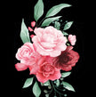 Tablou canvas - Trandafir salbatic