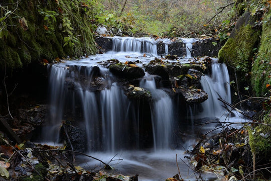 Valea Somesului