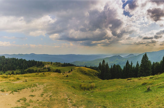  Vedere din muntii Bucegi