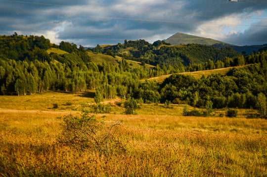 Sfarsitul veri, Citera-Petrila, Romania 19.08.2019