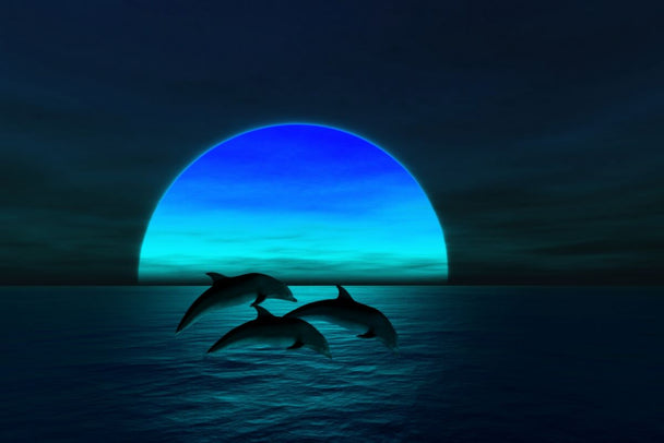 3 delfini