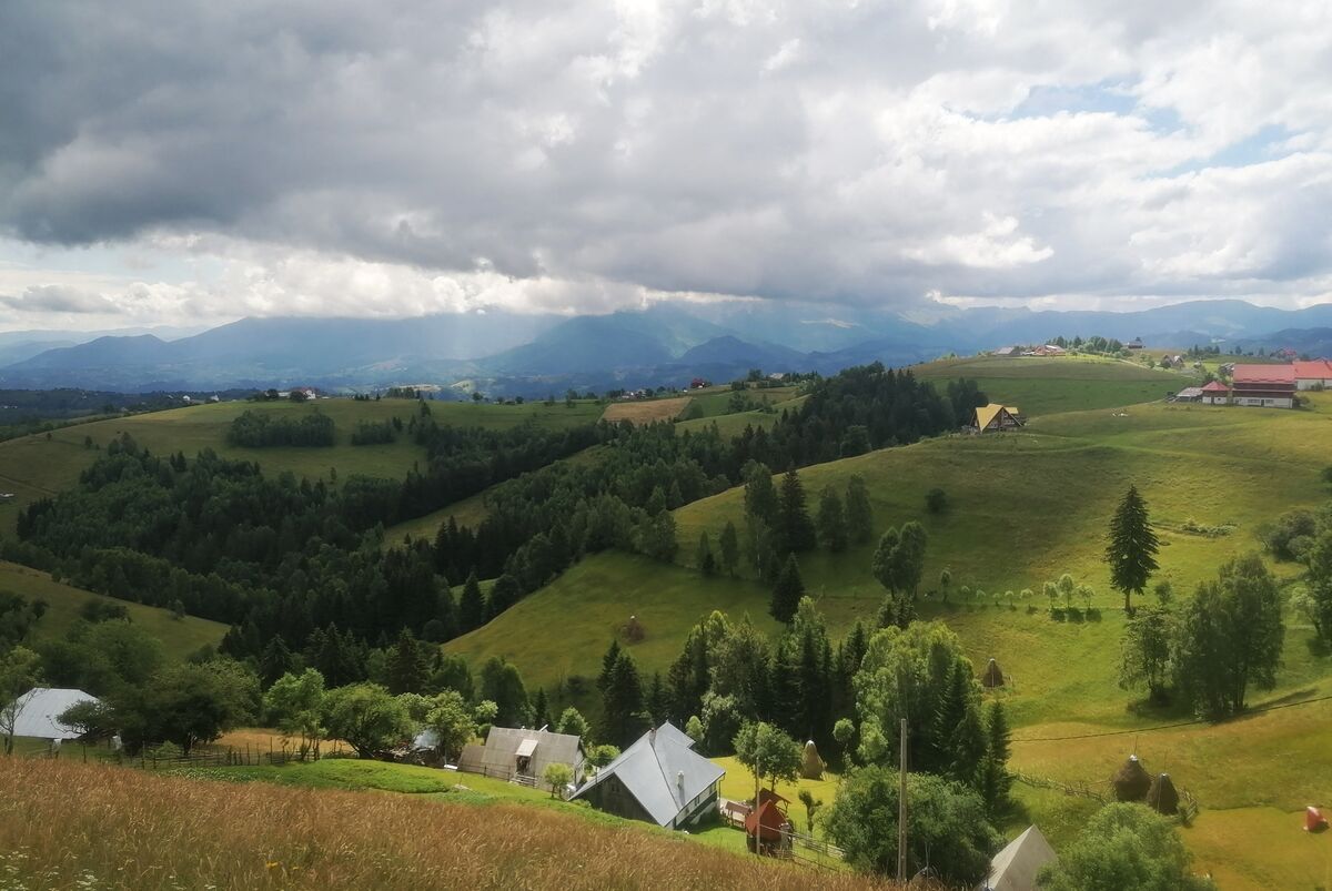 Colinele Transilvaniei