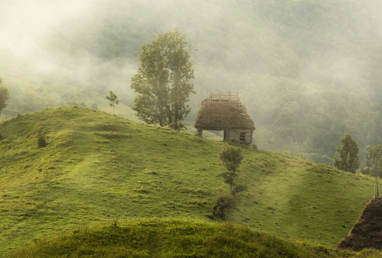 Dumesti-Jud Alba-Romania