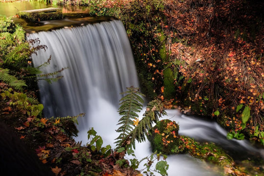 Rau in cascada