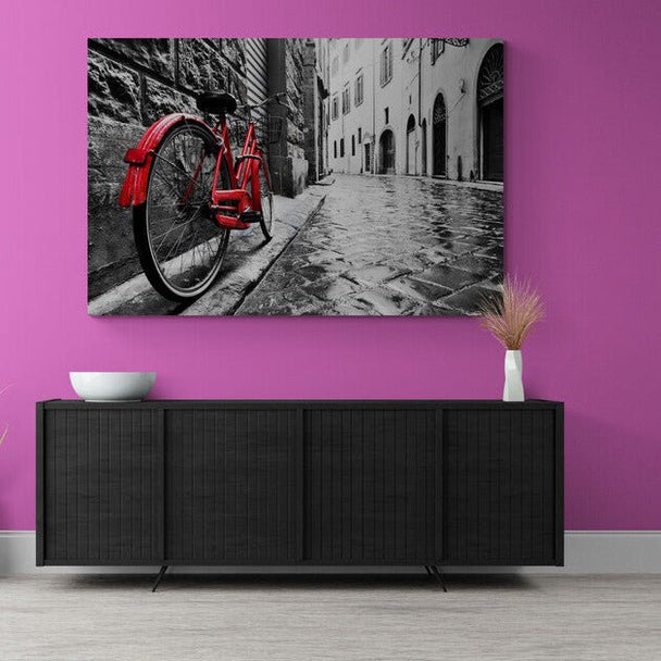 Tablou canvas - Bicicleta rosie - Cameradevis.ro