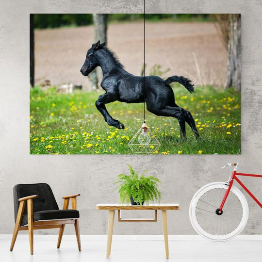 Tablou Canvas - Cal in galop - Cameradevis.ro