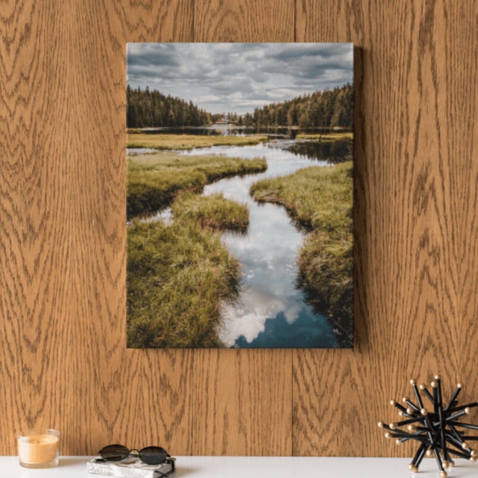 Tablou canvas - Delta - Cameradevis.ro
