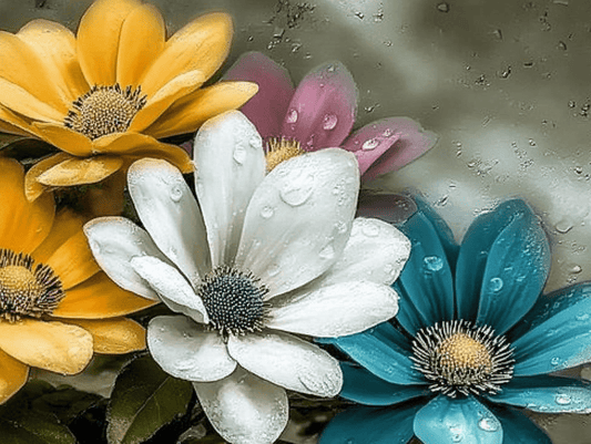 Tablou Canvas - Buchet Flori cu Picaturi de Ploaie