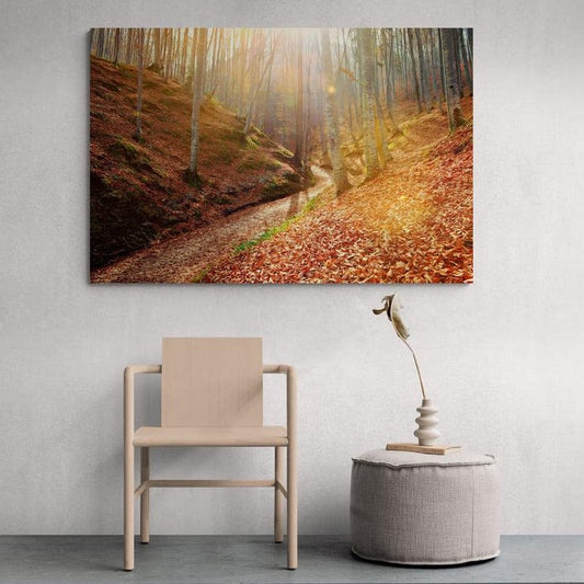Tablou canvas romanesc - Rasarit in padure - Cameradevis.ro