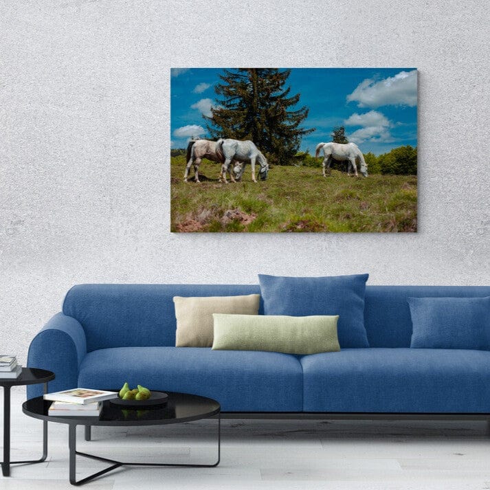 Tablou canvas romanesc - 7 cai - Cameradevis.ro