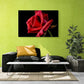 Tablou canvas - Trandafir rosu - Cameradevis.ro