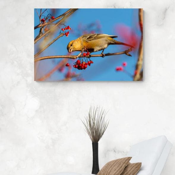 Tablou canvas - Pasarica ciresica - Cameradevis.ro