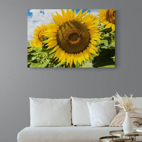 Tablou canvas -Floarea soarelui - Cameradevis.ro