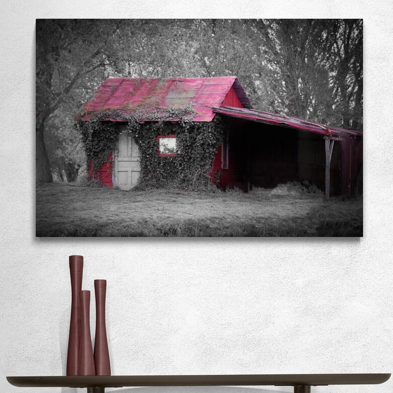 Tablou canvas romanesc - The red house - Cameradevis.ro